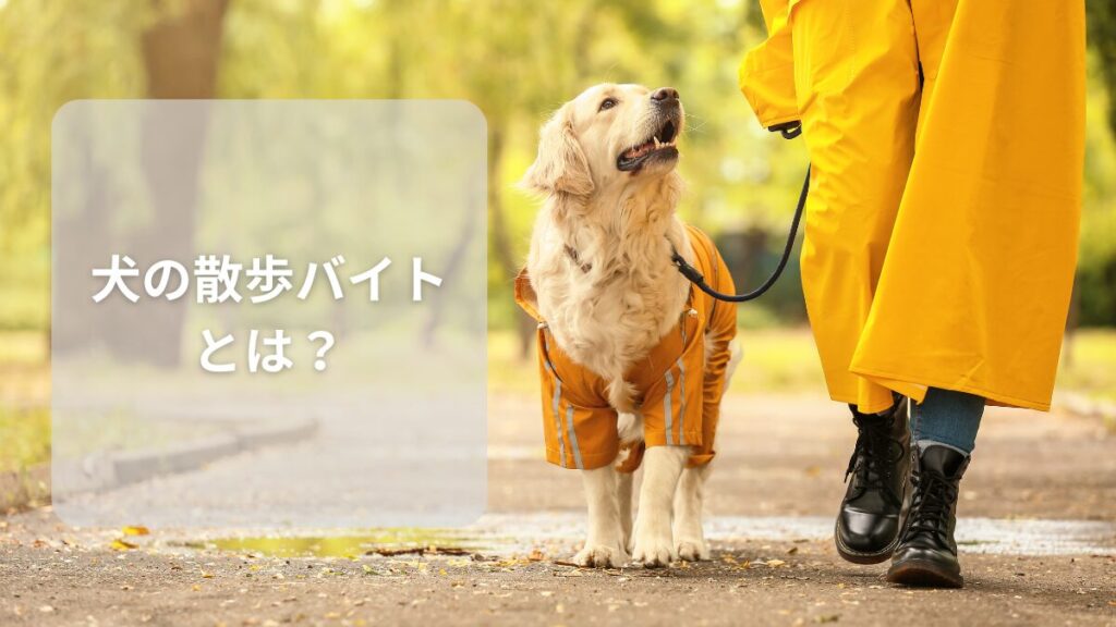 犬の散歩バイトとは