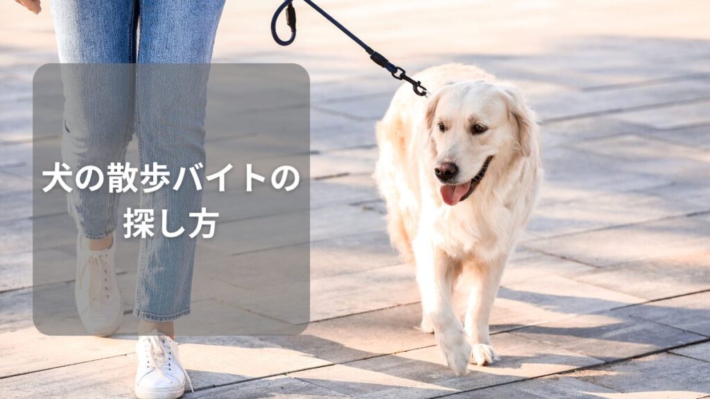 犬の散歩バイトの探し方